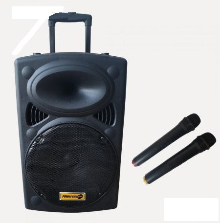 Grand enceinte nomade Hanson View D-15