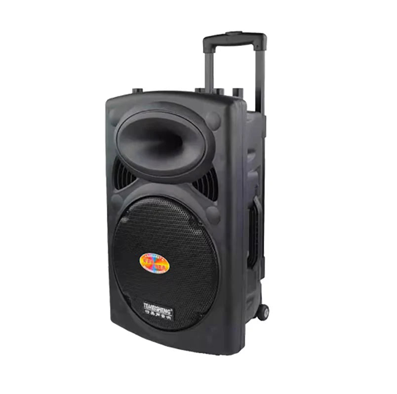 Grand enceinte nomade Hanson View D-15