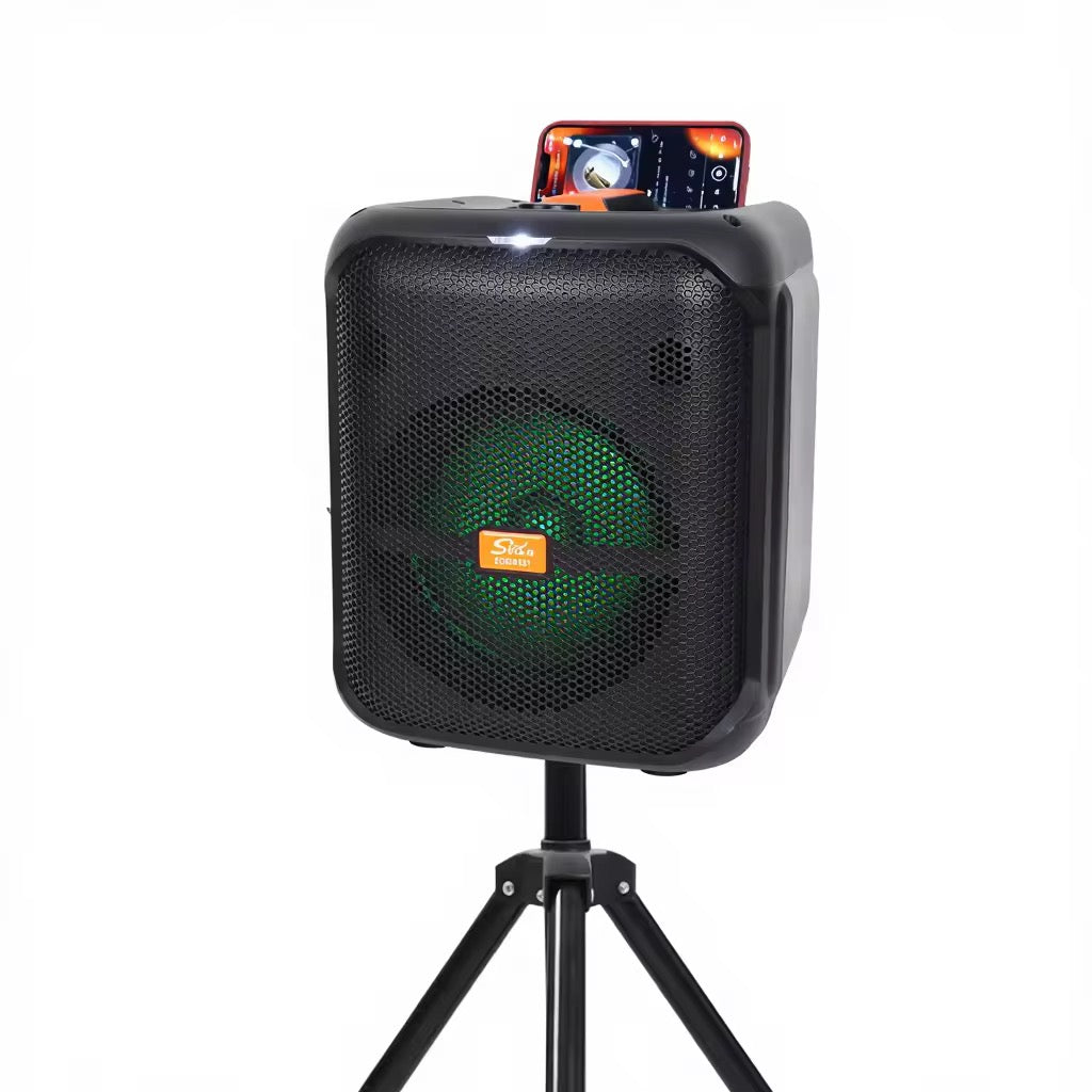 Système HiFi Portable Sing-E ZQS8181 – Le Son Haute Fidélité Partout avec Vous