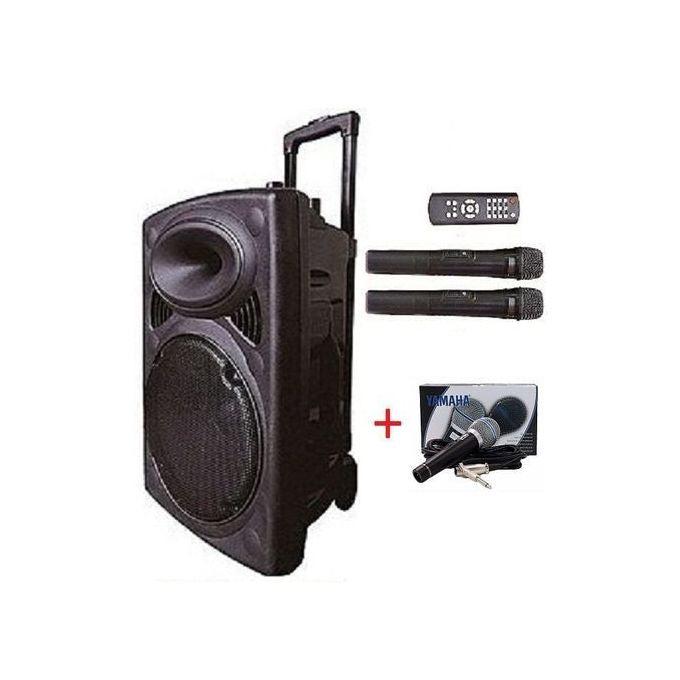 Grand enceinte nomade Hanson View D-15