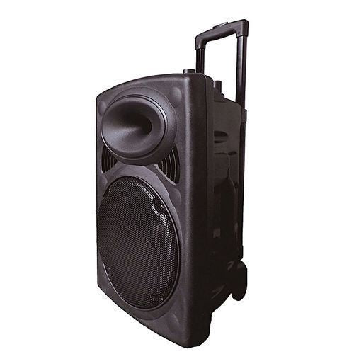 Grand enceinte nomade Hanson View D-15