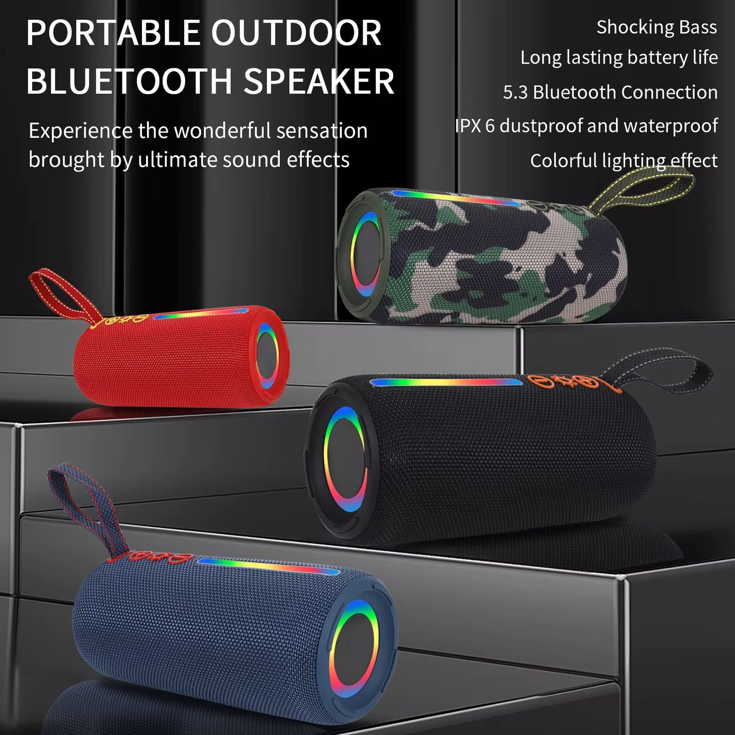 Enceinte Portable Sans Fil P PRO6