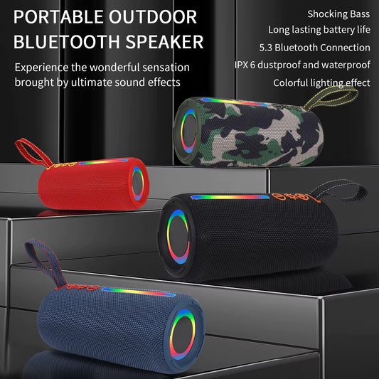 Enceinte Portable Sans Fil P PRO6