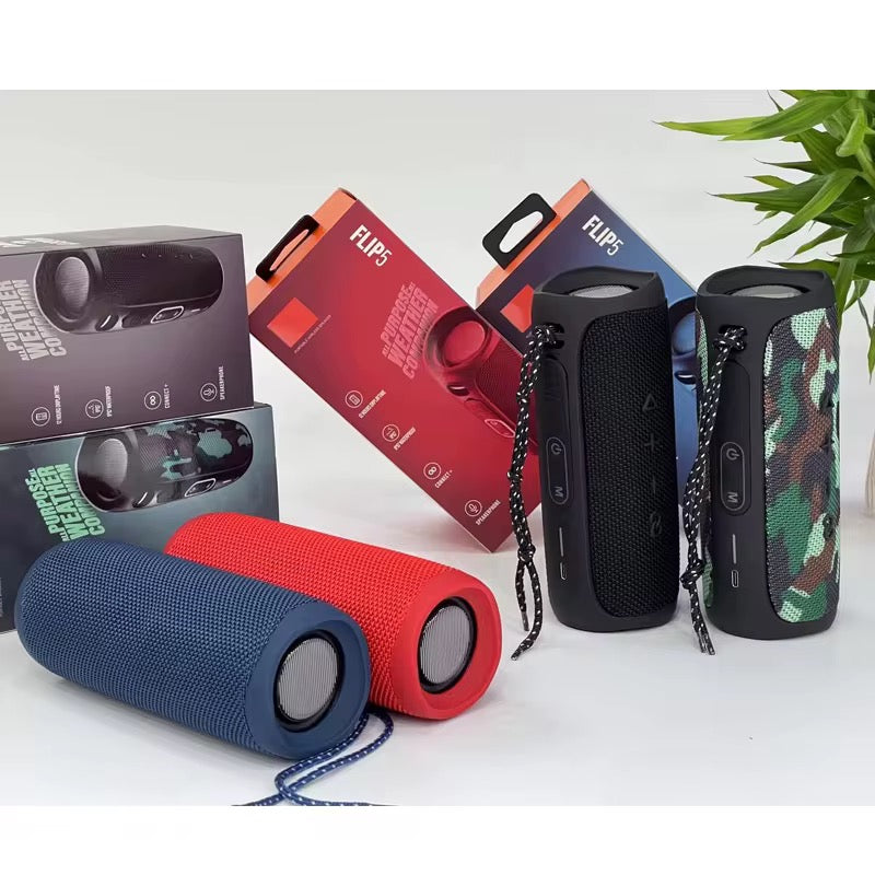 Enceinte bluetoth FLIP5
