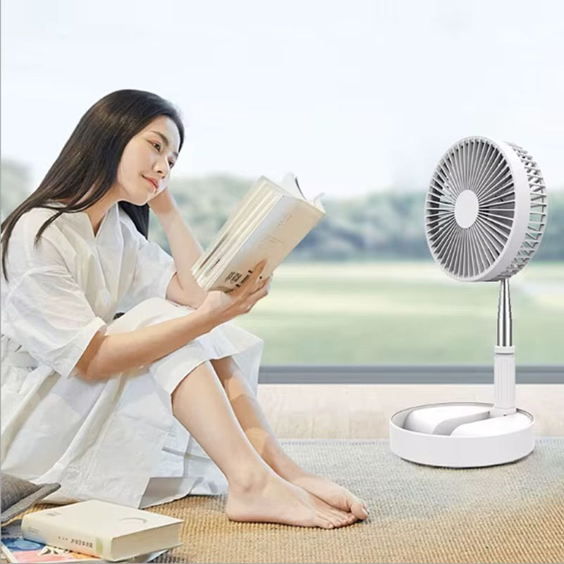 Ventilateur Télescopique Rechargeable S300