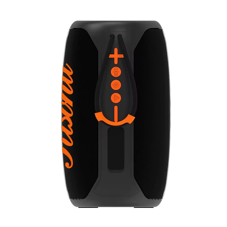 Enceinte Bluetooth Sans Fil Detosonic SD