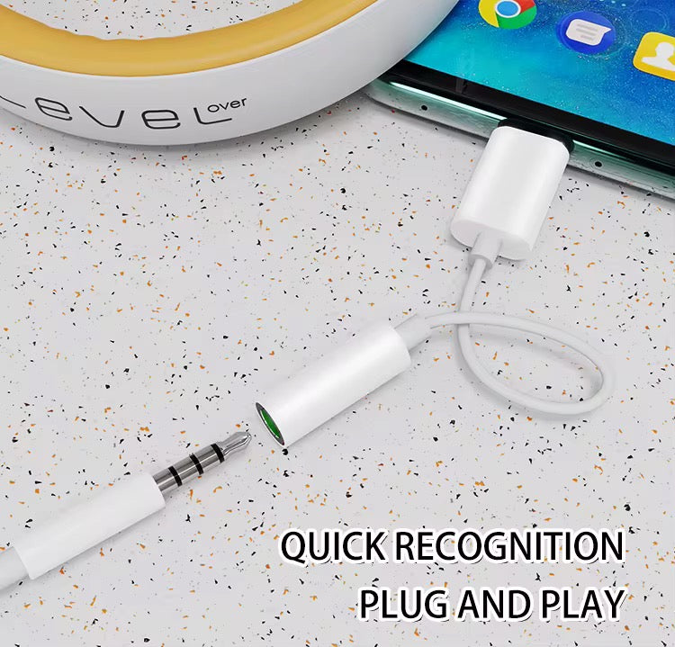 Fiche adaptateur Jack Type-C/Lightning