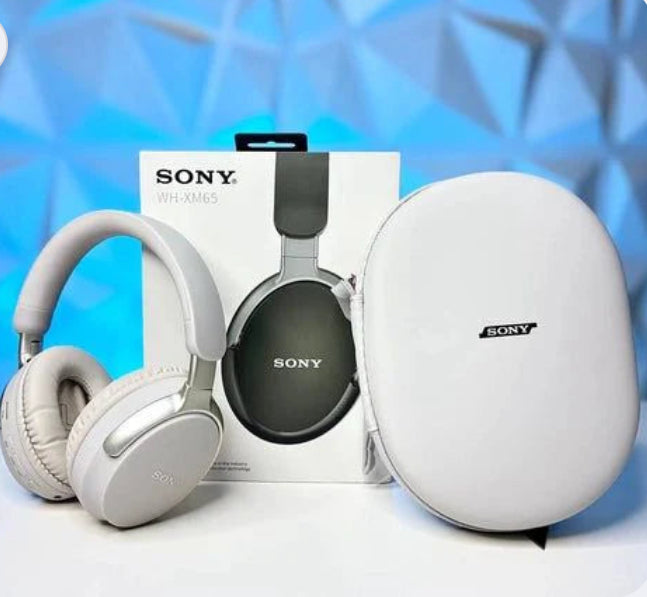 Casque WH-XM65